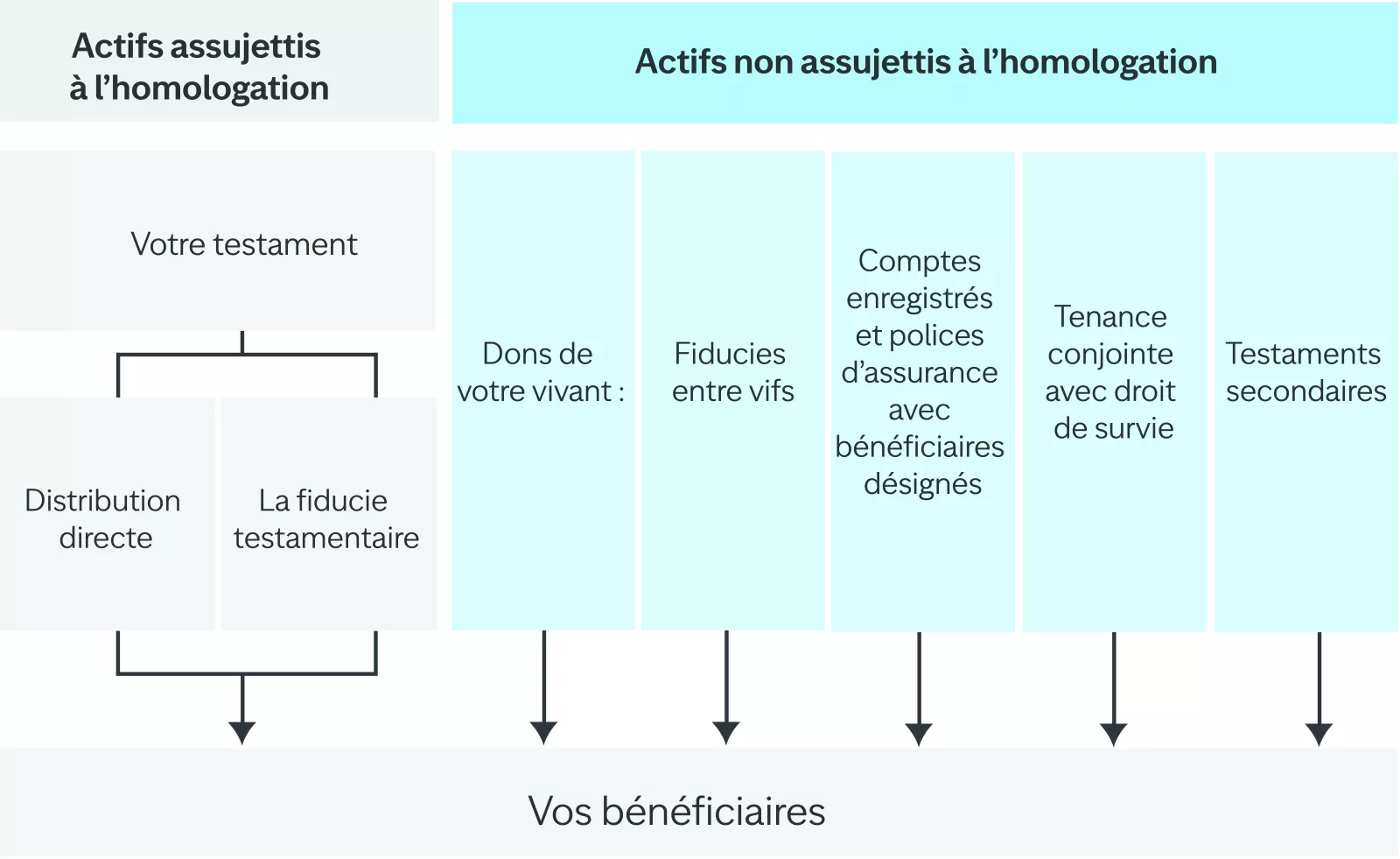  Stratégies courantes de planification de l’homologation
