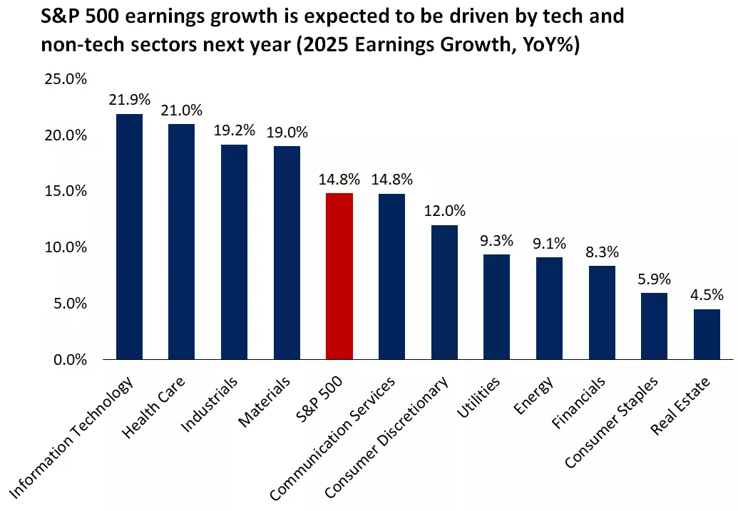  This chart shows earnings growth expectations for S&P 500 sectors in 2025.
