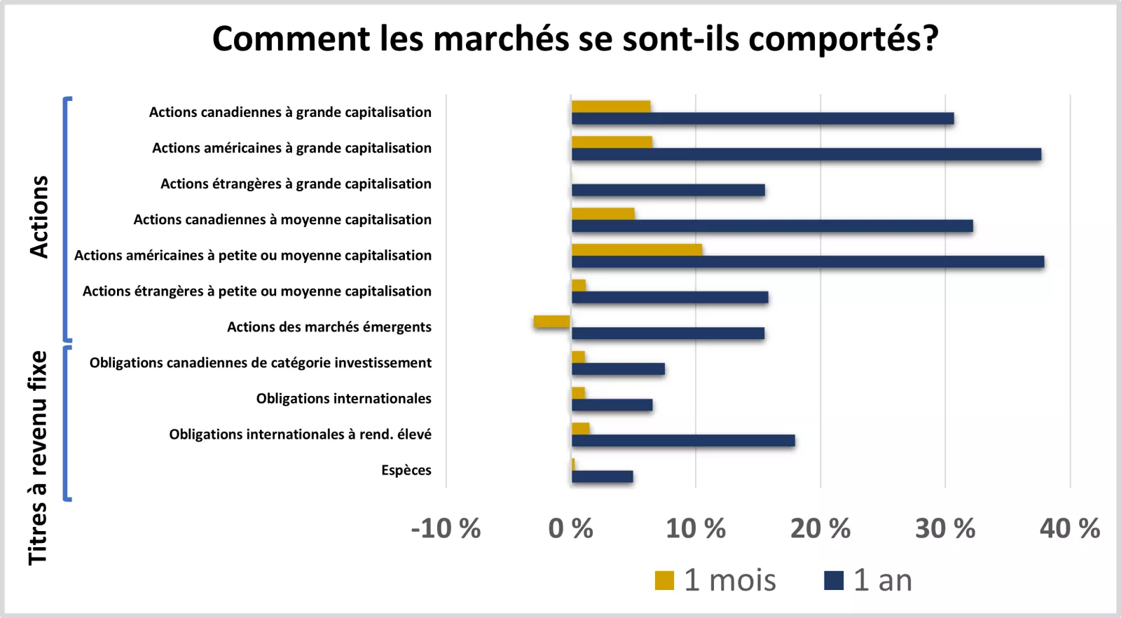  Ce graphique montre les performances des marchés d'actions et de titres à revenu fixe au cours du mois et de l'année précédents.
